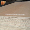 High quality waterproof Marine plywood 12mm/18mm for flooring